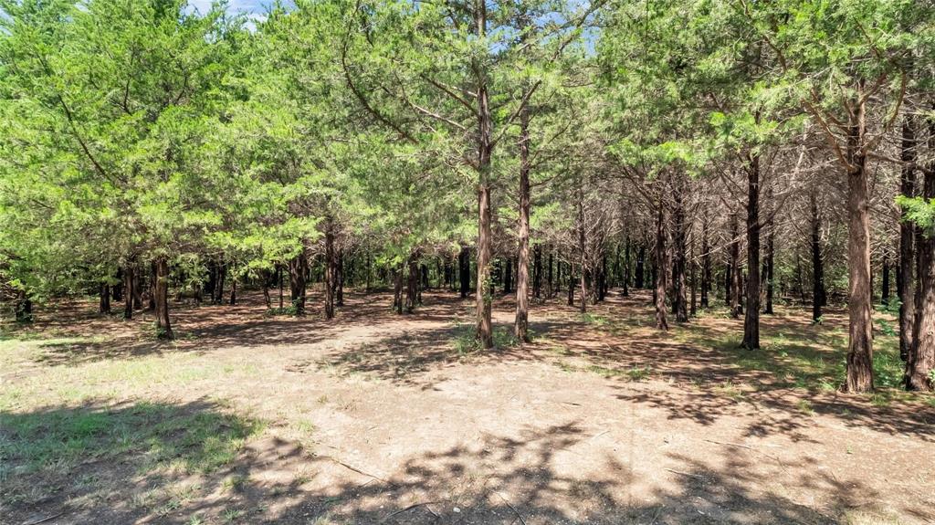 1011 Sister Grove Road Van Alstyne, TX 75495 - Photo 31 of 31 Gallery Image 31