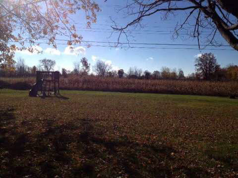 6080 Labo Road Newport, MI 48166 - Photo 11 of 11 20387674-10.JPG