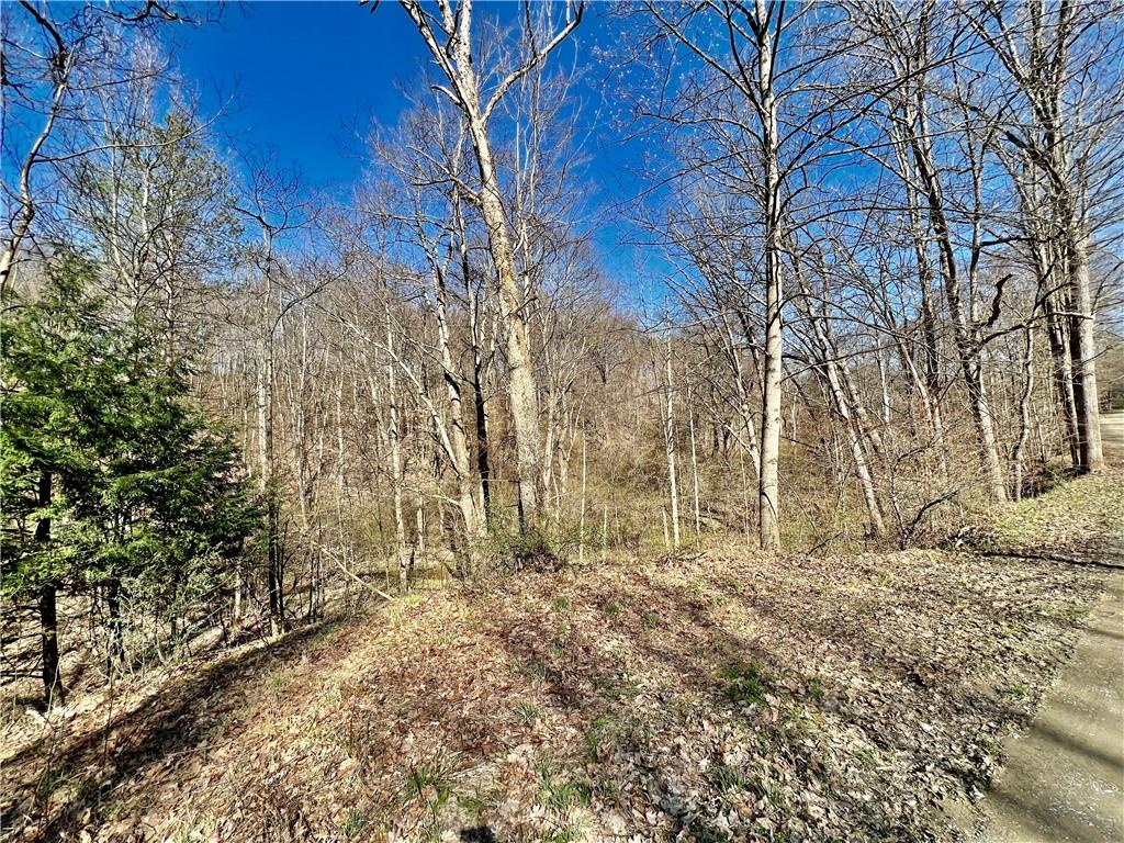 0 Blystone Road Creekside, PA 15732 - Photo 1 of 6 Gallery Image 1