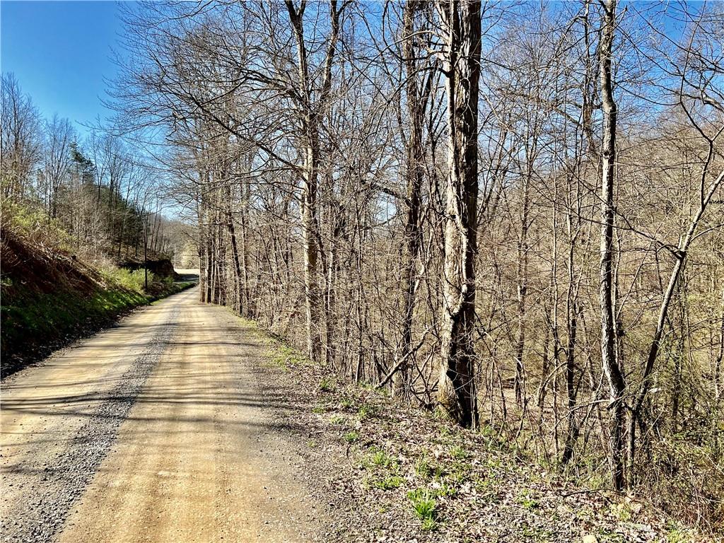 0 Blystone Road Creekside, PA 15732 - Photo 2 of 6 Gallery Image 2