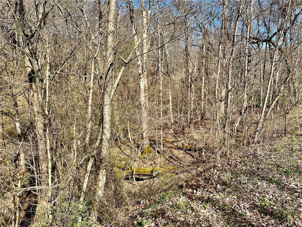 0 Blystone Road Creekside, PA 15732 - Photo 3 of 6 Gallery Image 3