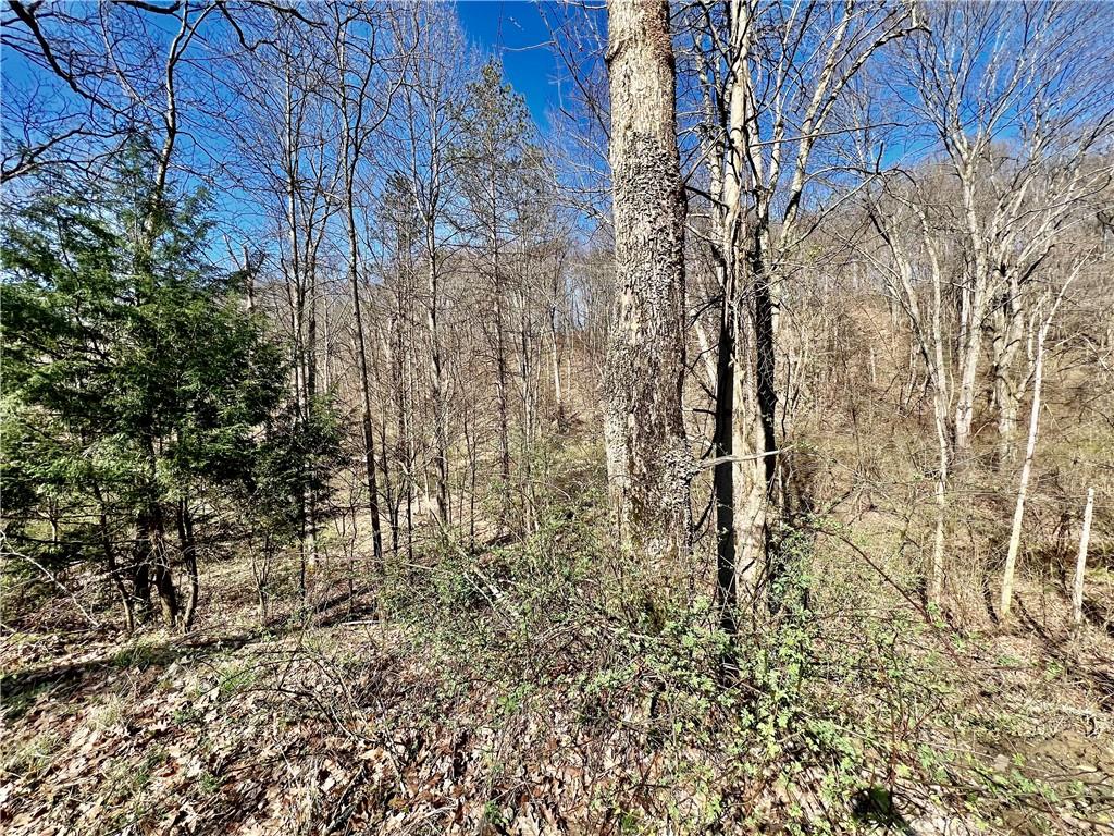 0 Blystone Road Creekside, PA 15732 - Photo 6 of 6 Gallery Image 6