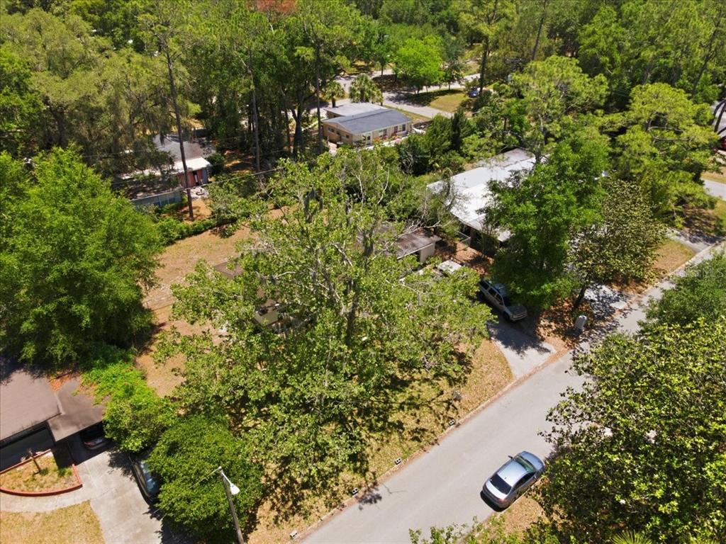 517 Northwest 36th Terrace Gainesville, FL 32607 - Photo 29 of 38
