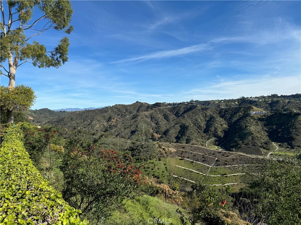 1470 Laurel Way Beverly Hills, CA 90210 - Photo 50 of 54 Across the Canyon to the Reservoir