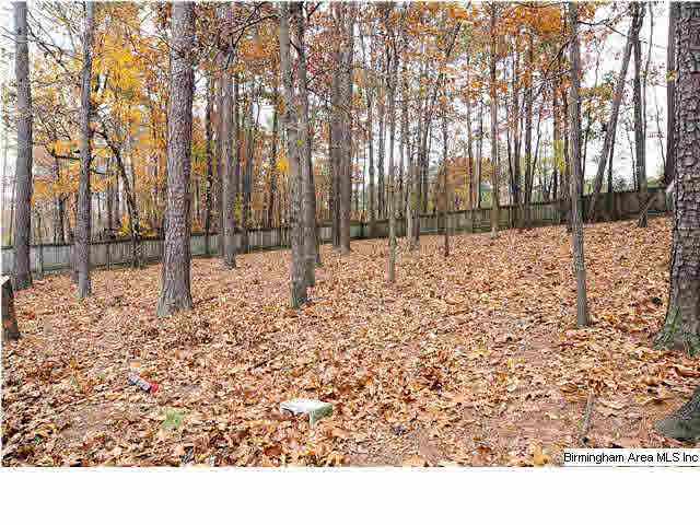 110 Grande View Circle Alabaster, AL 35114 - Photo 26 of 29