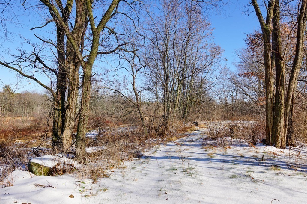 3 East End Road Bolton, MA 01740 - Photo 20 of 24 Gallery Image 20