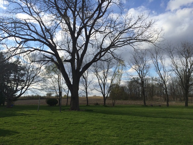 436 West Reader Street Elburn, IL 60119 - Photo 21 of 25