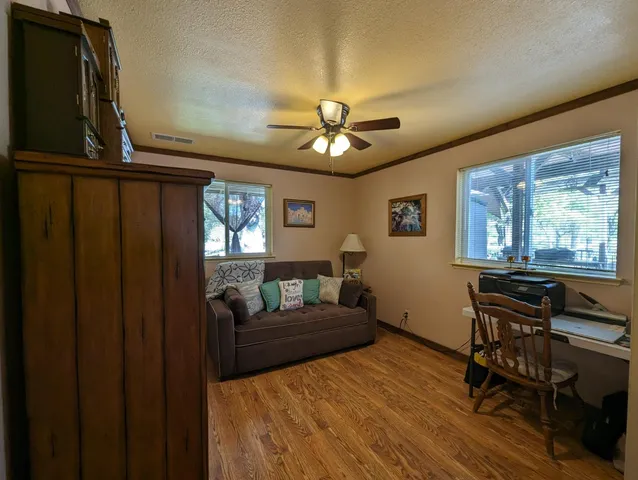 a view of a backyard with plants and trees