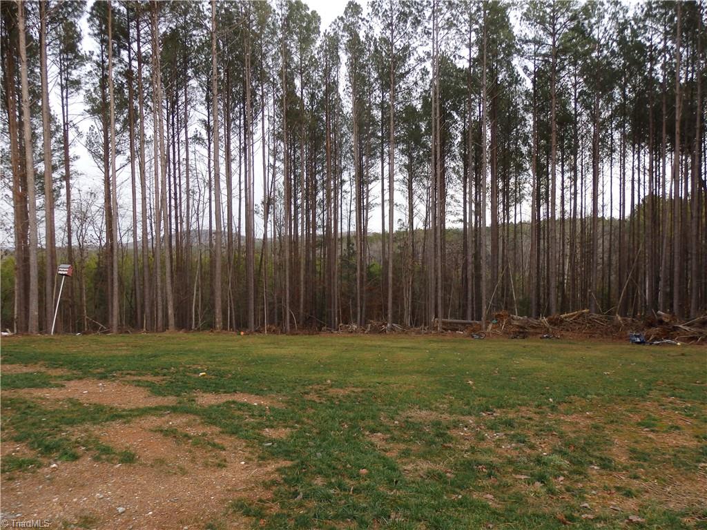 5930 Burney Mill Road Denton, NC 27239 - Photo 5 of 36 Gallery Image 5