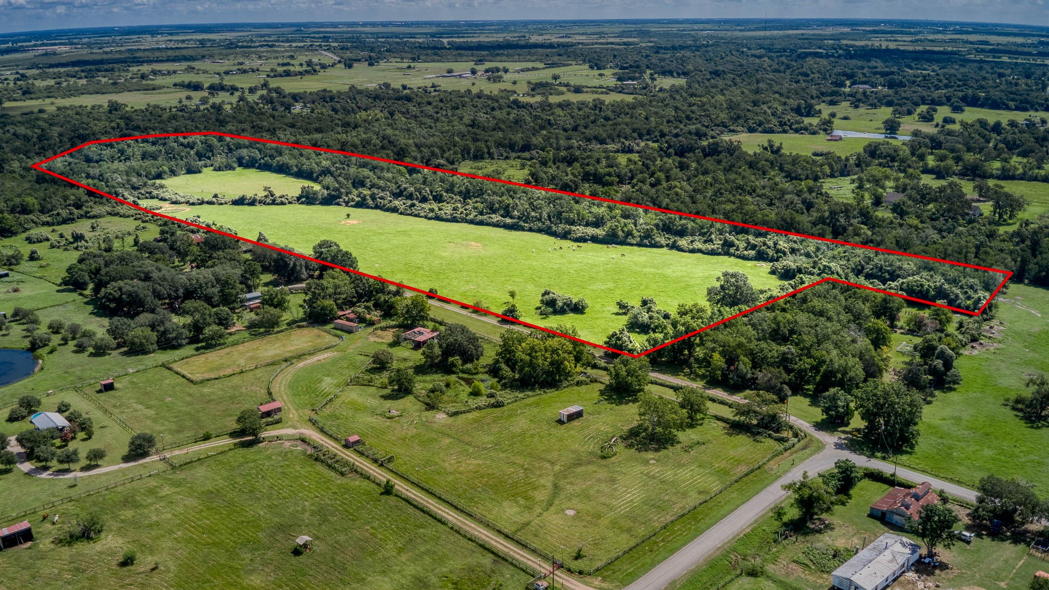 Tbd Holik Road Hempstead, TX 77445 - Photo 4 of 50