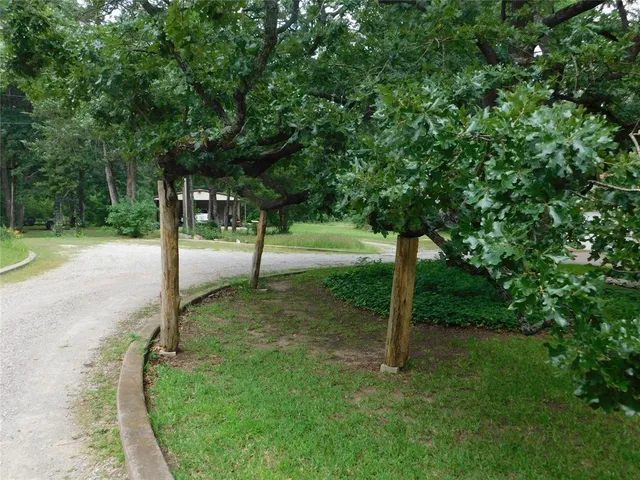 a view of backyard with table and chairs and potted plants