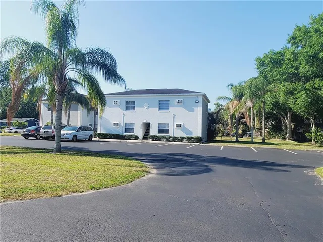 a view of a swimming pool with a lawn chairs under palm trees