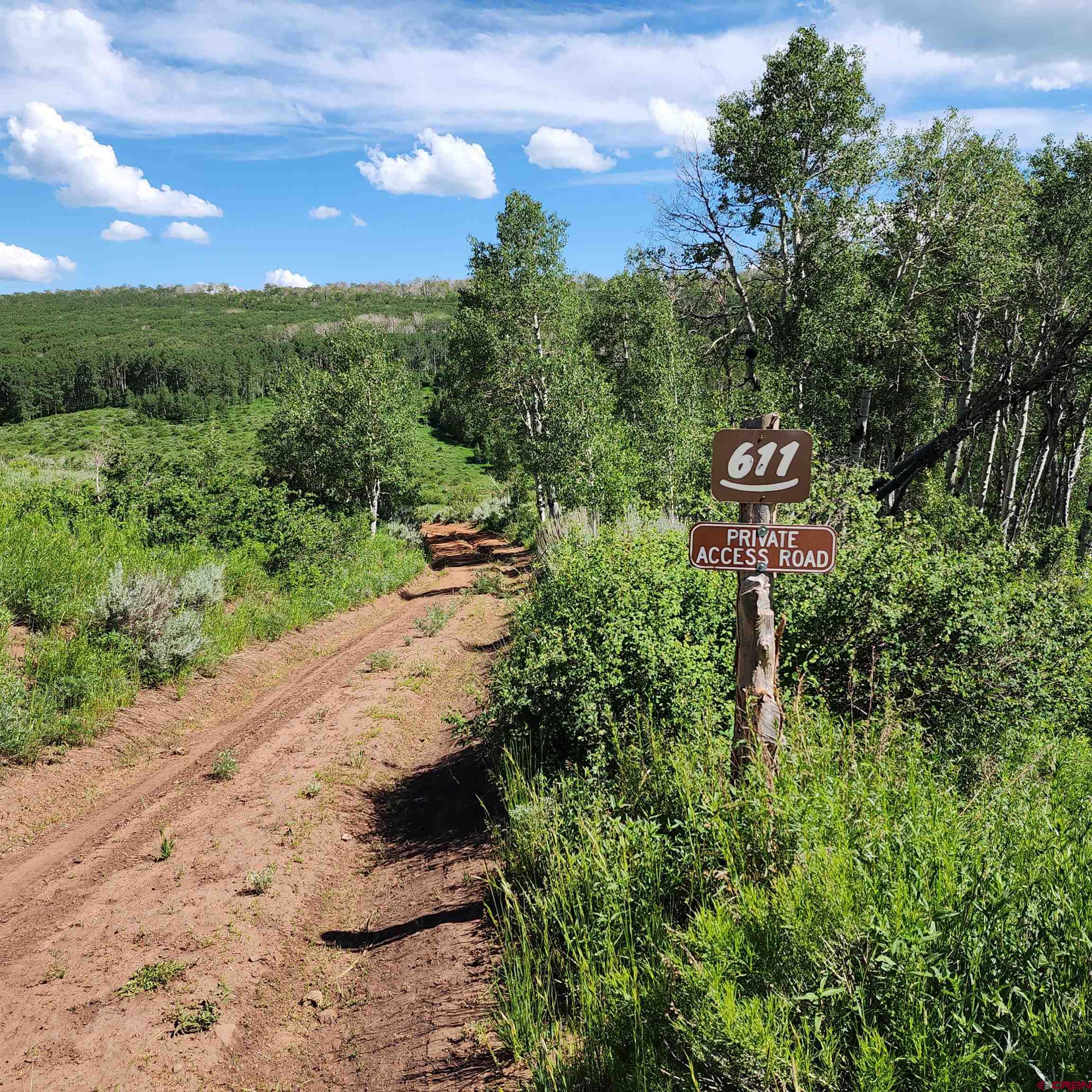 Tbd Zs (240 Acres) Road Whitewater, CO 81527 - Photo 2 of 24 a view of a road with a yard