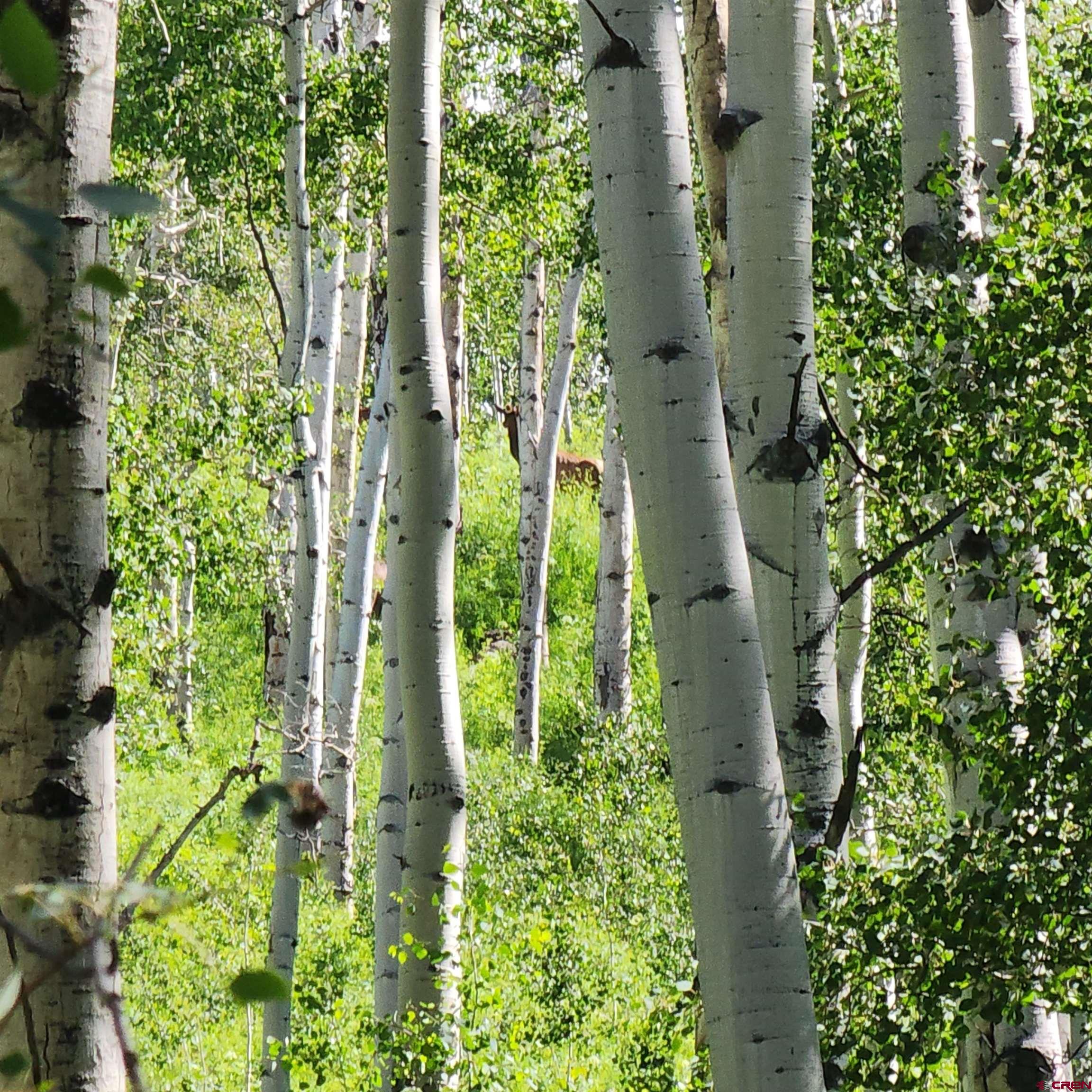 Tbd Zs (240 Acres) Road Whitewater, CO 81527 - Photo 4 of 24 an aerial view of residential houses with outdoor space