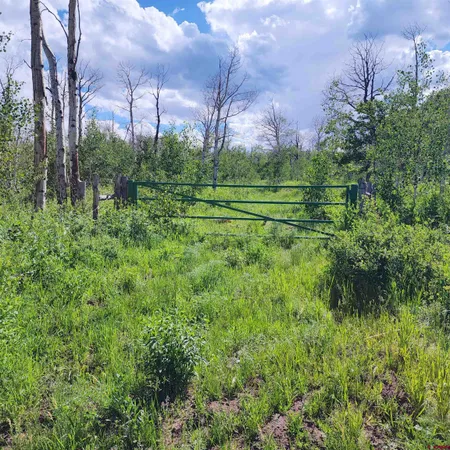 a view of a green field with lots of green space