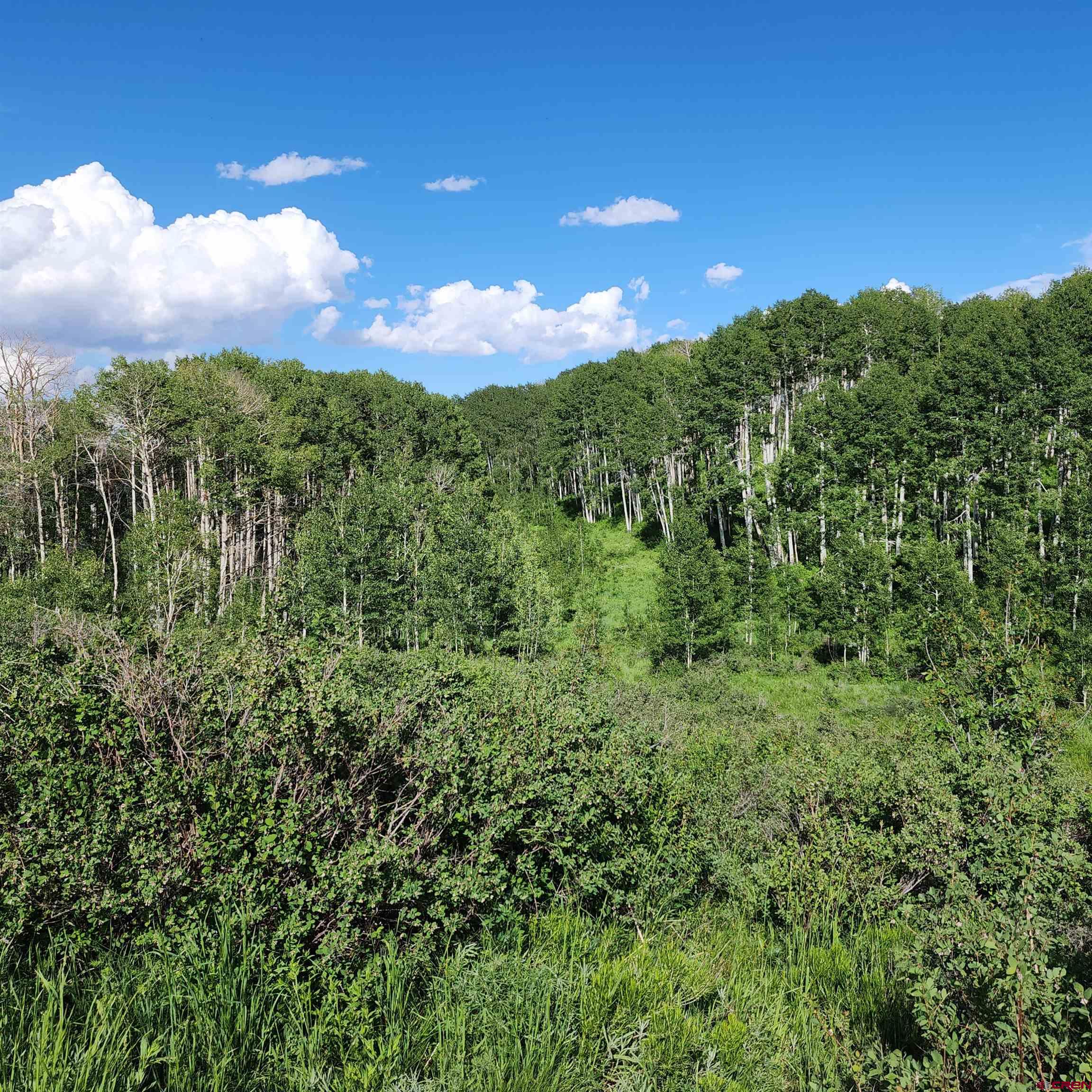 Tbd Zs (240 Acres) Road Whitewater, CO 81527 - Photo 10 of 24 a view of a city and lush green forest