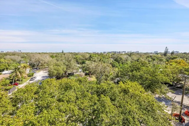 a view of a bunch of trees and bushes