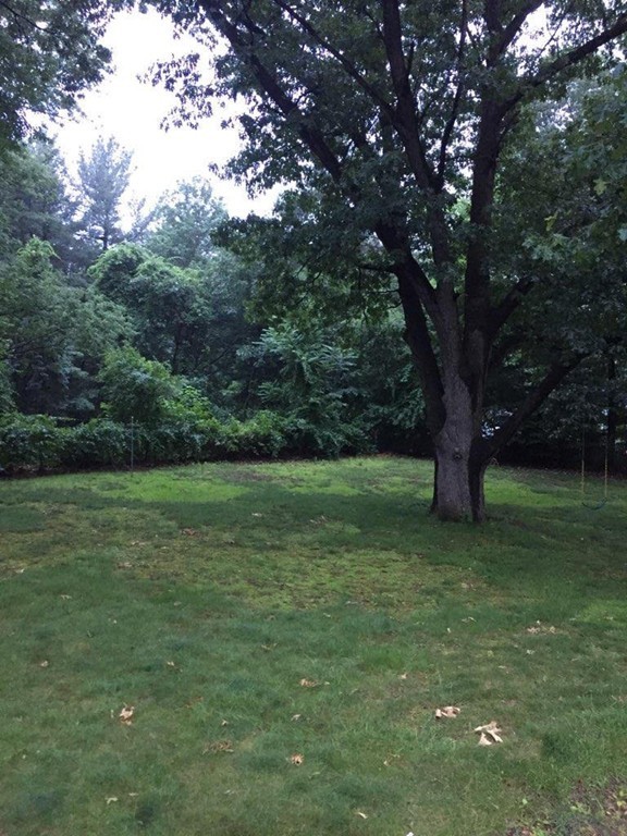 562 Tiffany Street Springfield, MA 01108 - Photo 7 of 7 a view of a field with a tree
