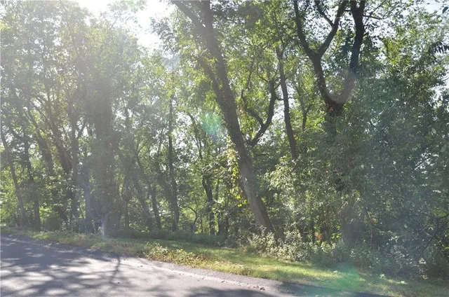 a view of backyard with green space