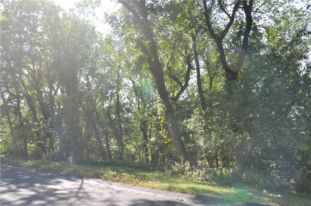 614 Orchard Hill Drive Pittsburgh, PA 15238 - Photo 11 of 12 a view of a yard with large trees