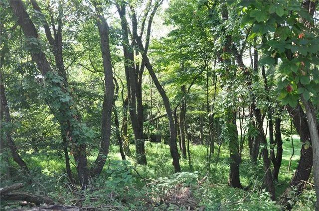 a backyard of a house with lots of trees