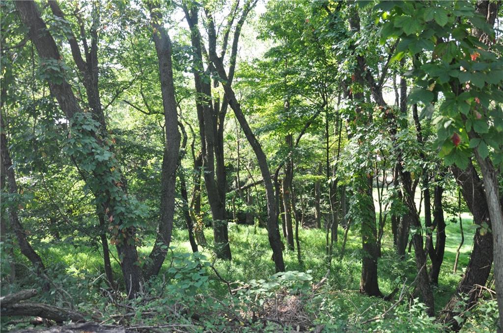 614 Orchard Hill Drive Pittsburgh, PA 15238 - Photo 2 of 12 a backyard of a house with lots of trees