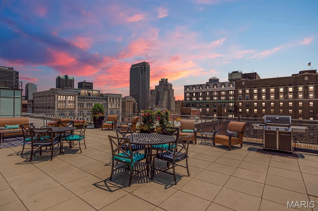 1209 Washington Avenue, Unit 302 St. Louis, MO 63103 - Photo 9 of 9