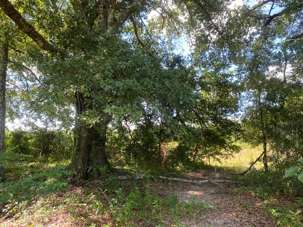 16-ac 16-ac National Road Dothan, AL 36301 - Photo 15 of 45