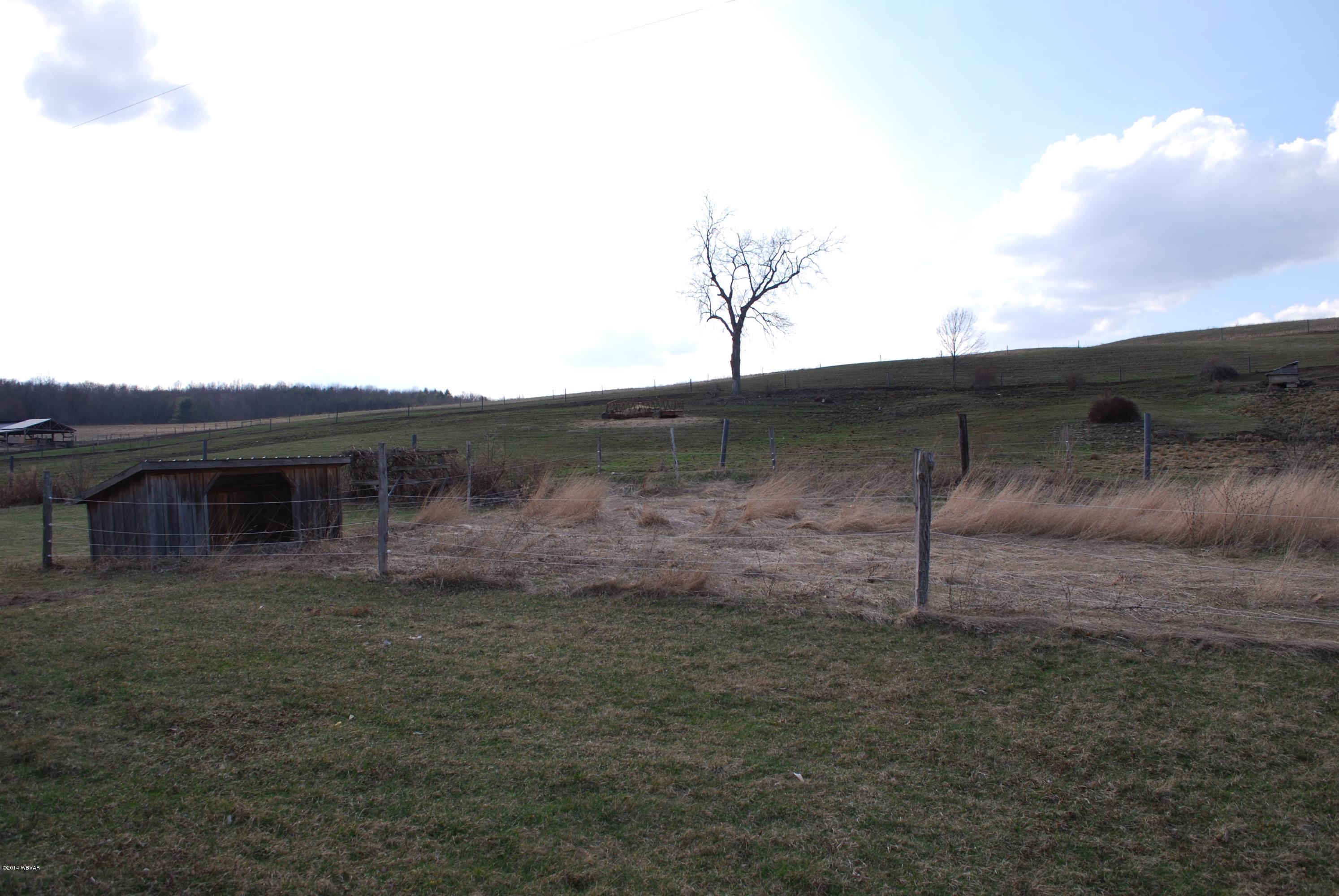 953 Beech Flats Road Canton, PA 17724 - Photo 4 of 11 Rear View