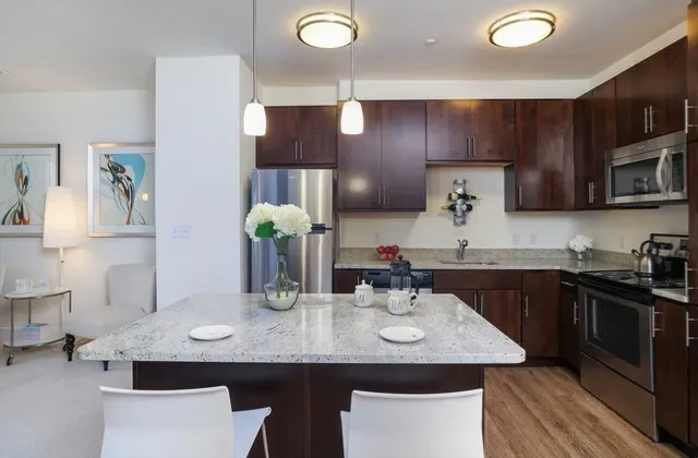 $2,706 | 30 Mill Street, Unit 218, Arlington, MA 02476