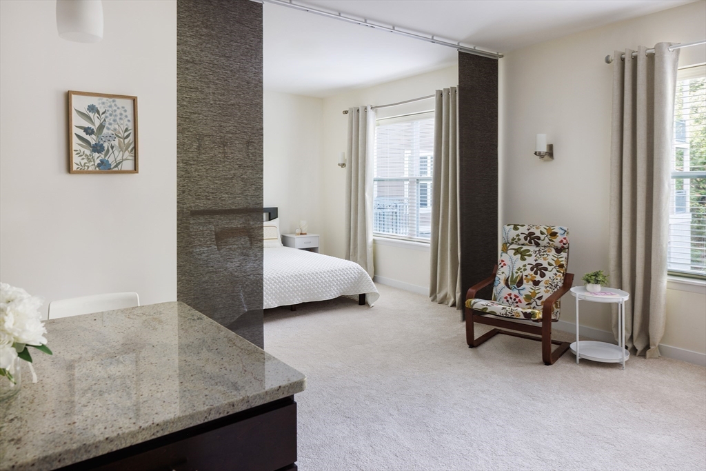 30 Mill Street, Unit 218 Arlington, MA 02476 - Photo 28 of 37