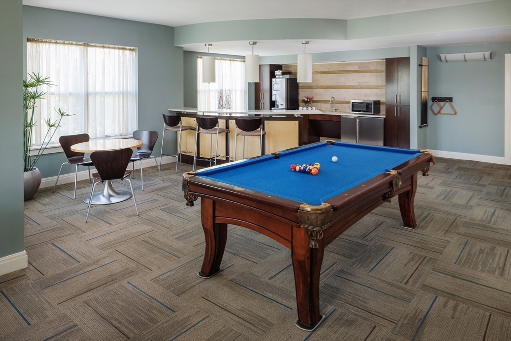 30 Mill Street, Unit 218 Arlington, MA 02476 - Photo 7 of 37