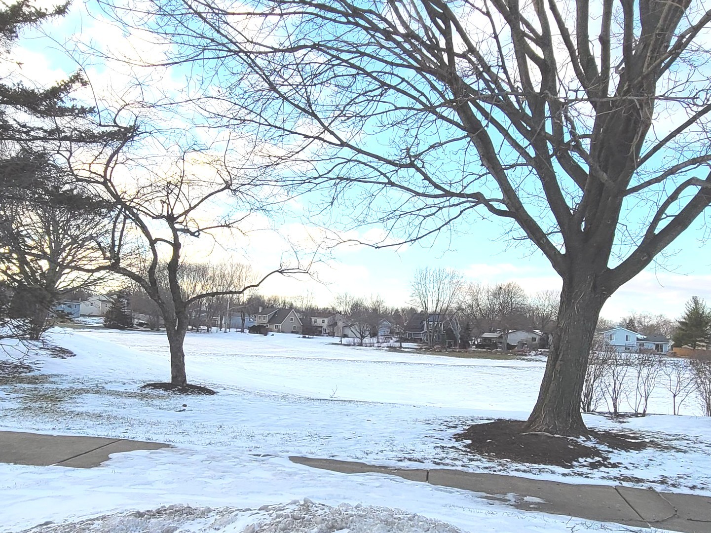 15 Gant Circle, Unit E Streamwood, IL 60107 - Photo 17 of 18 a view of a yard with a tree