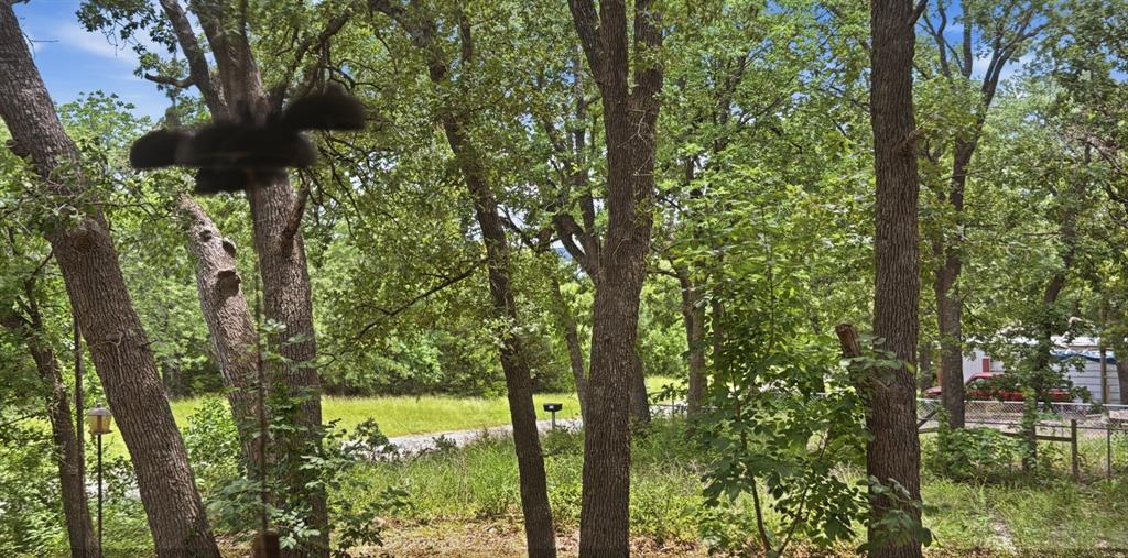 945 Lake Road Gordonville, TX 76245 - Photo 17 of 23 Lake Texoma is visible thru the trees