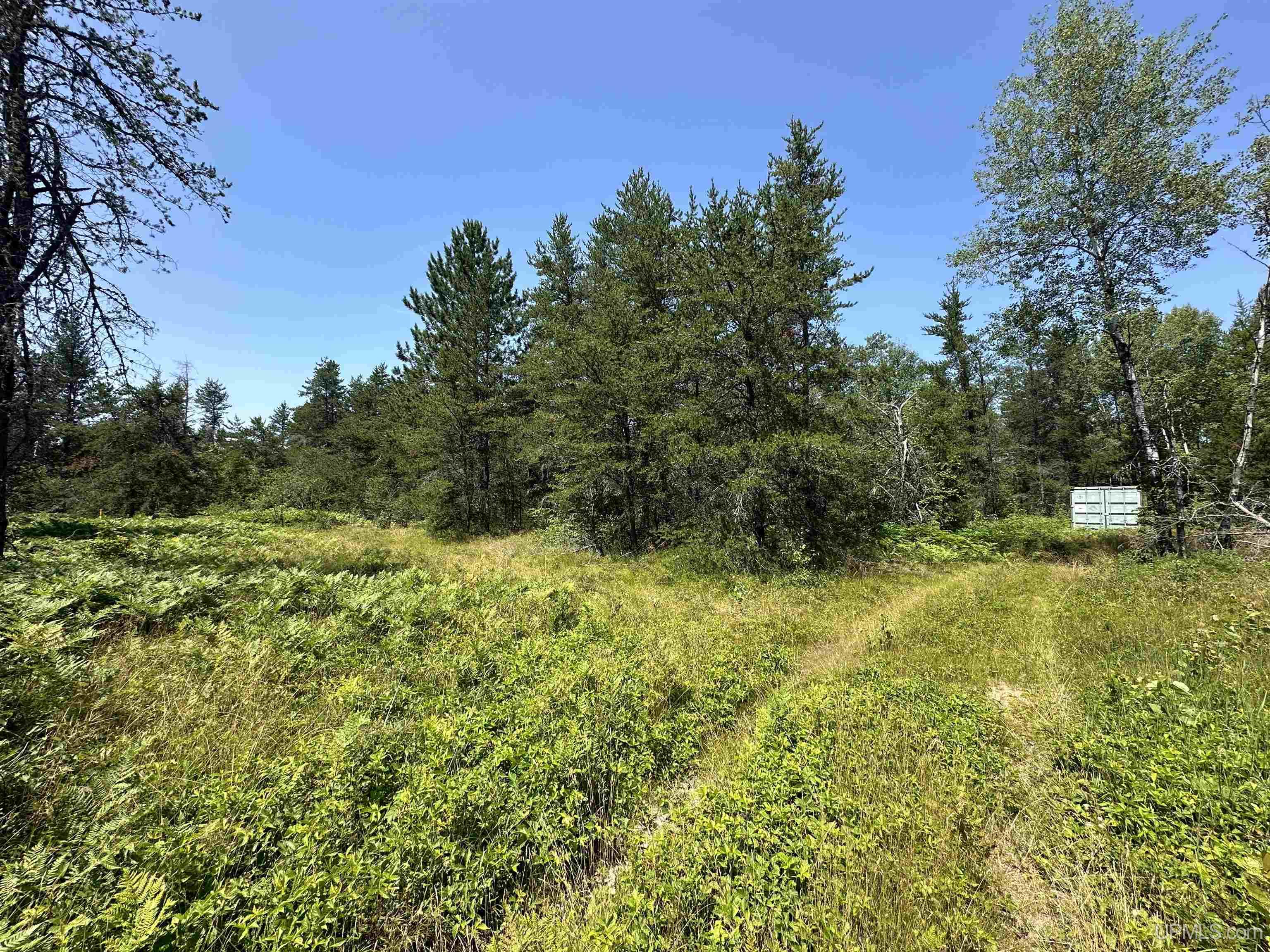 2020-2050 Co Road Little Lake, MI 49833 - Photo 4 of 39