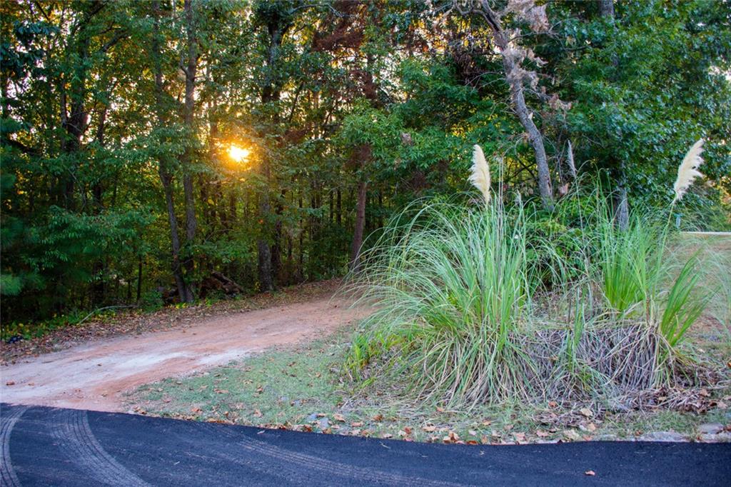 81 Cherokee Trail Ball Ground, GA 30107 - Photo 41 of 43 Gallery Image 41