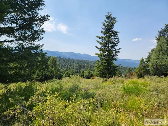 $165,000 | L61-b4 Cutthroat Run, Irwin, ID 83428