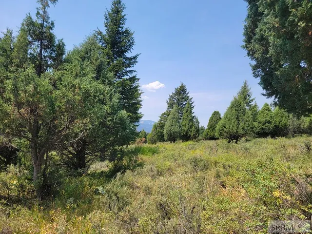 $165,000 | L61-b4 Cutthroat Run, Irwin, ID 83428