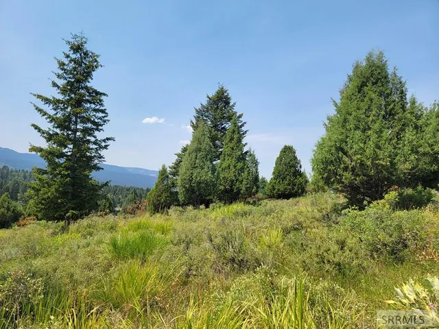 $165,000 | L61-b4 Cutthroat Run, Irwin, ID 83428