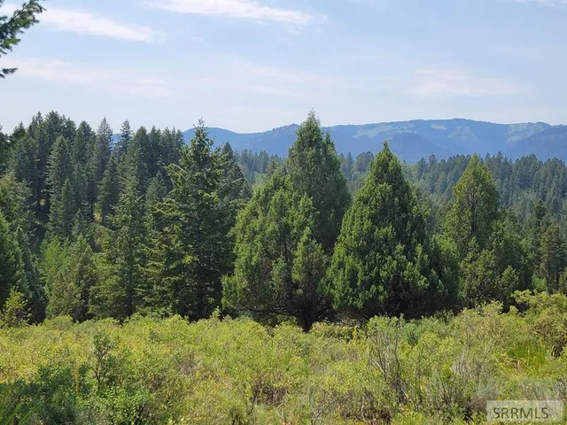 $165,000 | L61-b4 Cutthroat Run, Irwin, ID 83428