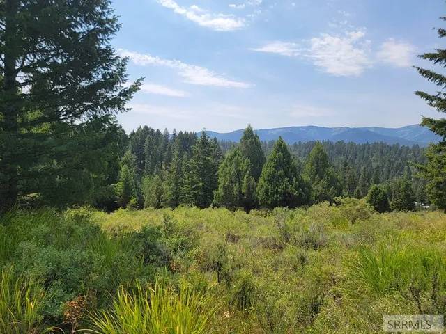 $165,000 | L61-b4 Cutthroat Run, Irwin, ID 83428
