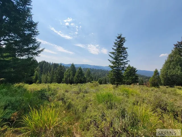$165,000 | L61-b4 Cutthroat Run, Irwin, ID 83428
