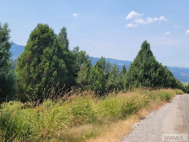 $165,000 | L61-b4 Cutthroat Run, Irwin, ID 83428