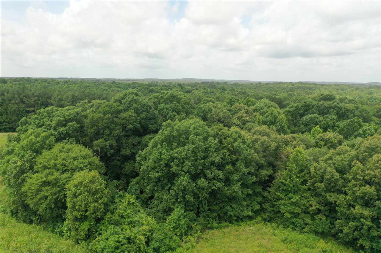 Mifflin Road Jackson, TN 38301 - Photo 2 of 3