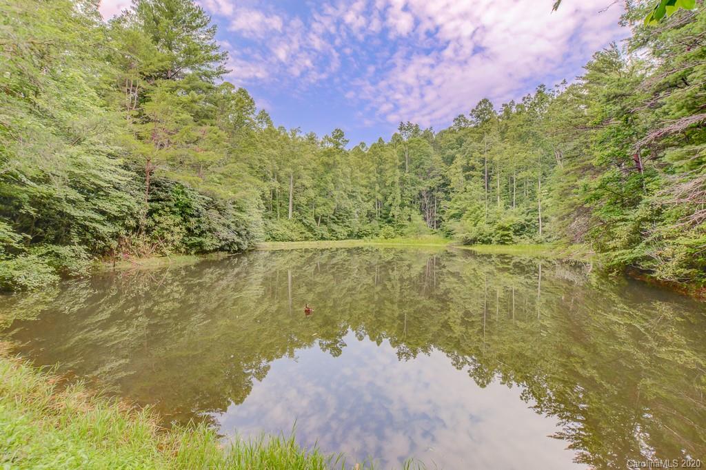 1446 Summer Road Hendersonville, NC 28792 - Photo 4 of 36 Gallery Image 4