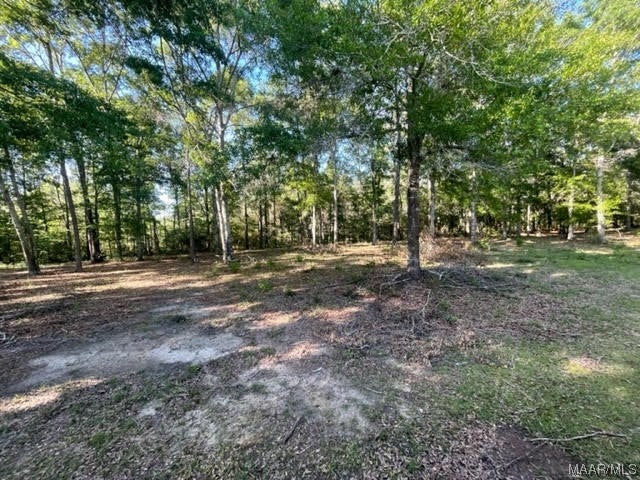 628 Old Elba Road Coffee Springs, AL 36318 - Photo 28 of 32 Gallery Image 28
