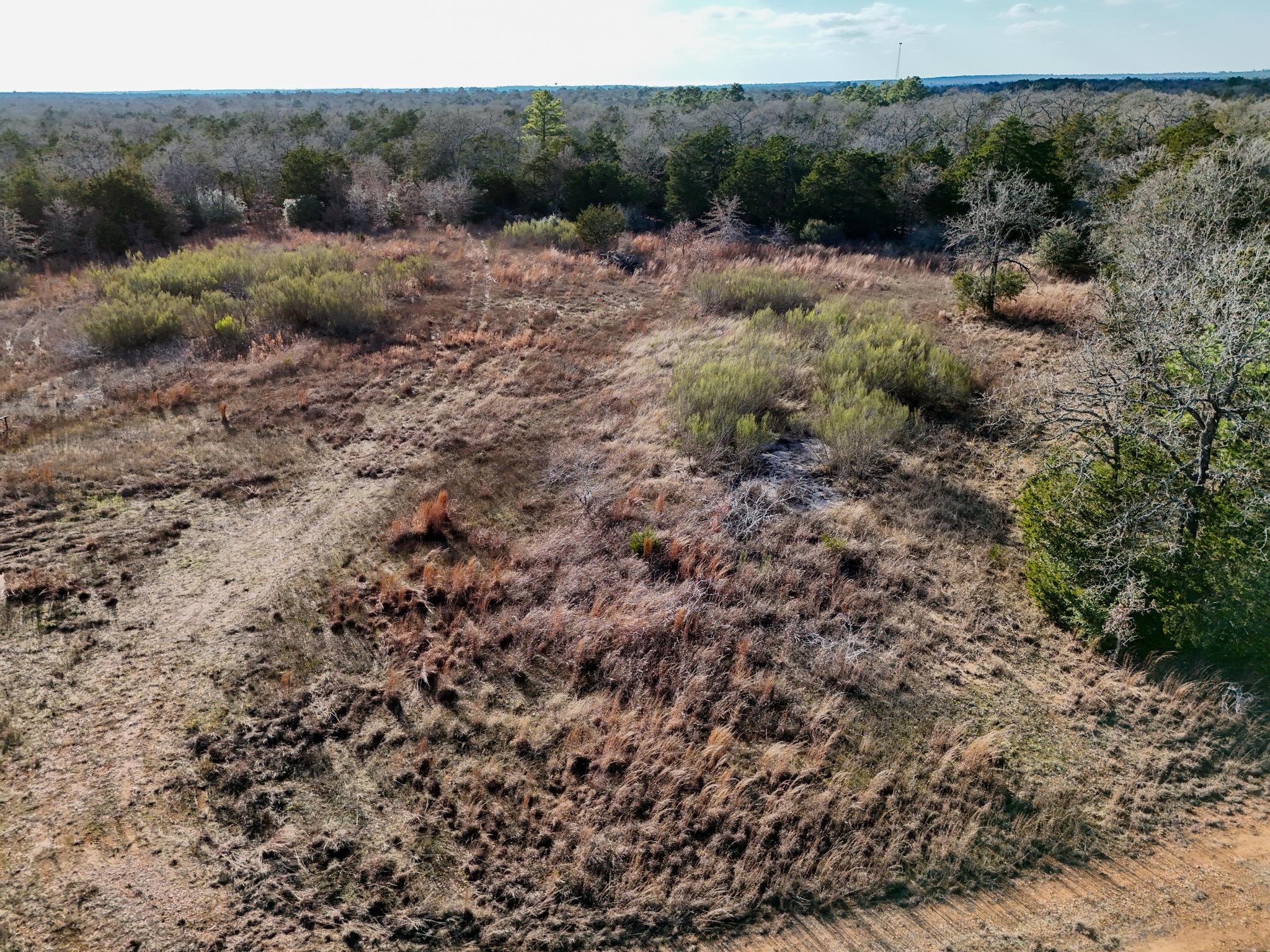 Lot 7 South Old Potato Road Paige, TX 78659 - Photo 18 of 22 View of undeveloped land with rural landscape