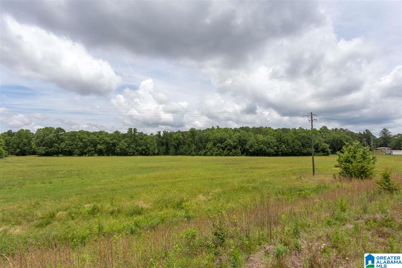 2450 Mcelderry Road Munford, AL 36268 - Photo 47 of 50