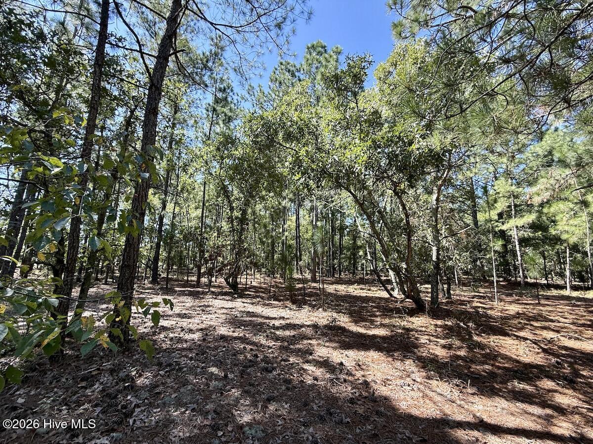 Lot 11 Marks Road Cameron, NC 28326 - Photo 15 of 20 13