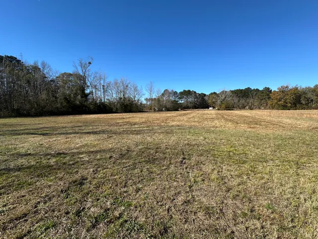 $60,000 | 0 Bishopville Road, St. George, SC 29477